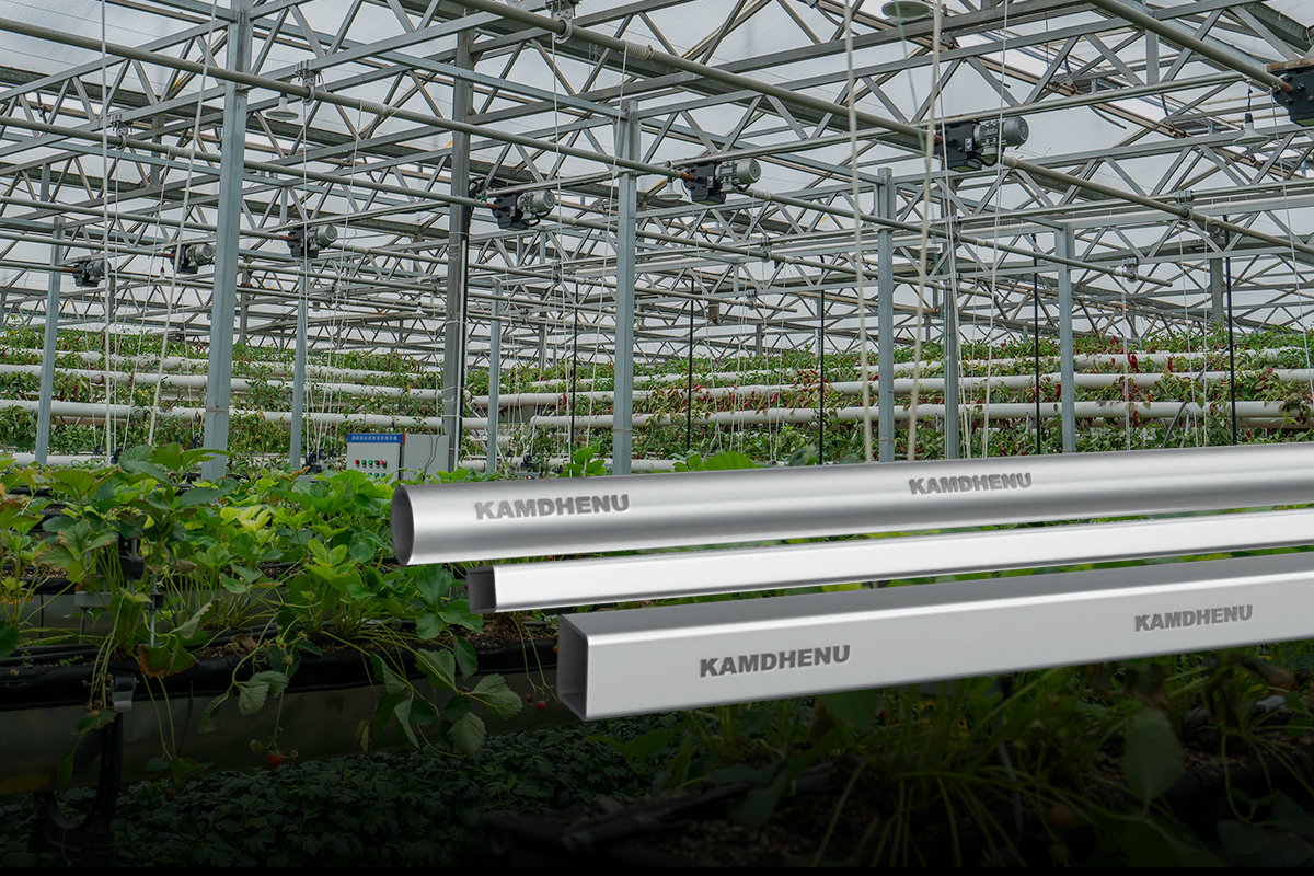 MS Pipe vs. Steel Pipe for Agricultural Structures | Kamdhenu