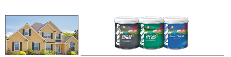 Kamdhenu Group Decorative Paints